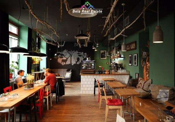 Ambient biznesi me qera 1+1 ne Tirane - 700 Euro