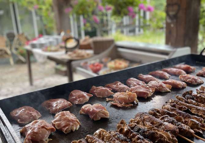 Ambient biznesi me qera 2+1 ne Tirane - 1,000 Euro