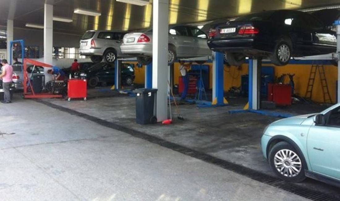 Servis Me Qera Prane Zogut Te Zi (ID BM187) Tirane