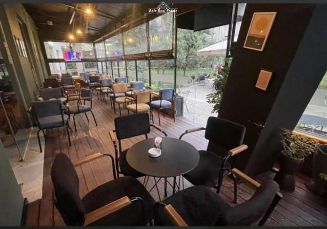 Ambient biznesi me qera 2+1 ne Tirane - 600 Euro