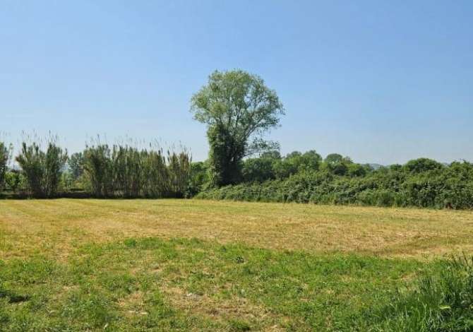 Toke Ne Shitje ne Laknas (ID BT64) Tirane