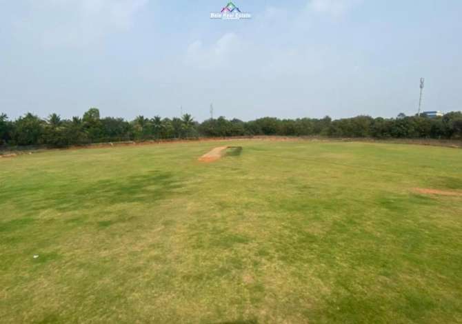 Toke Ne Shitje Ne Peze Te Vogel (ID BT60) Tirane