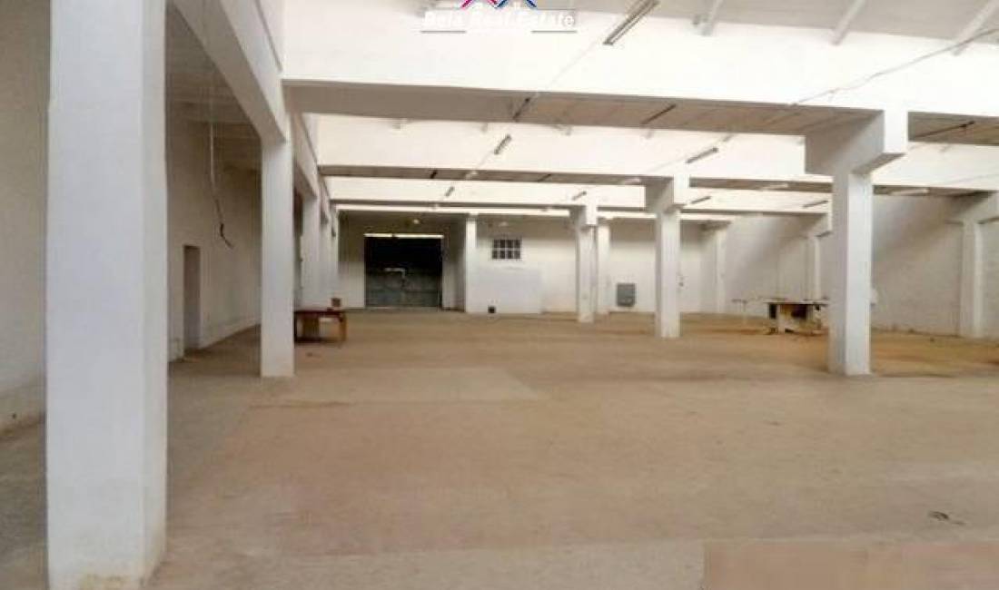 Magazine Me Qera Ne zonen e Alliasit (ID BM209) Tirane.