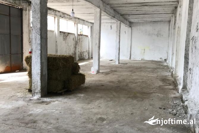 Ambiente Commerciale in Affitto 4+1 a Tirana - 900 Euro