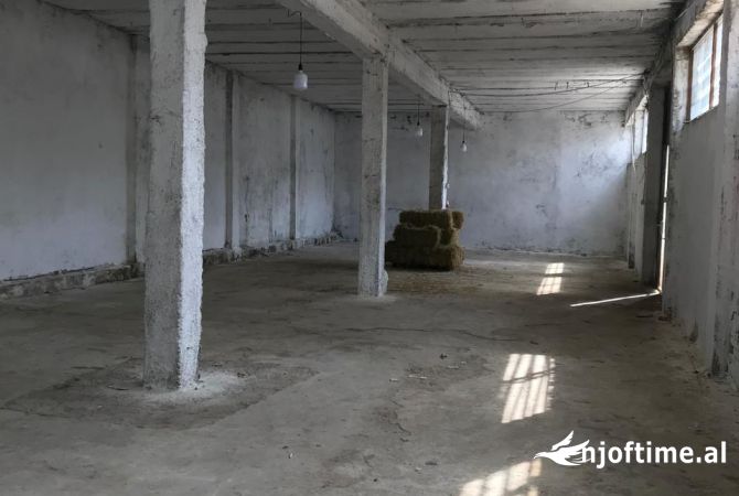 Ambiente Commerciale in Affitto 4+1 a Tirana - 900 Euro