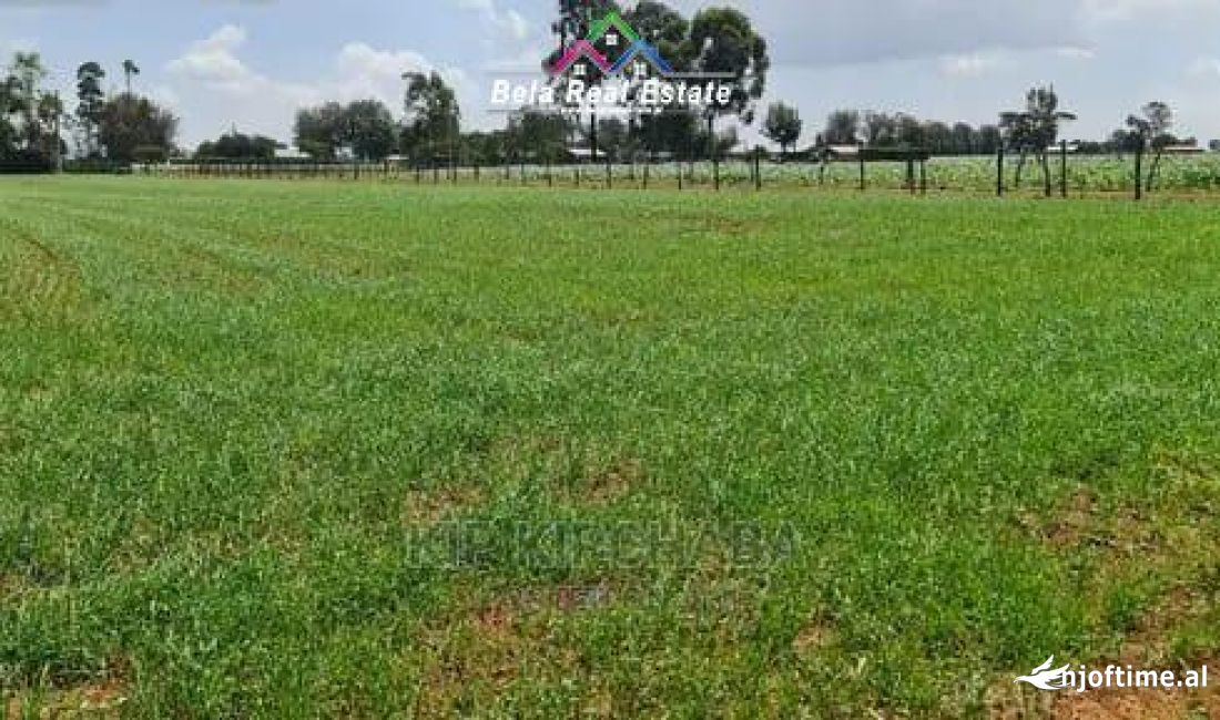 Toke Ne Shitje Ne Kashar (ID BT69) Tirane.