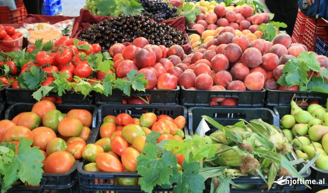 Shitje Biznesi Fruta Perime ne Yzberisht (ID BSHB144) Tirane