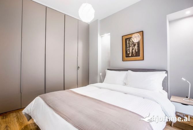 Apartament Me Qera 1+1 prane Maternitetit te Ri (ID B2101032) Tirane