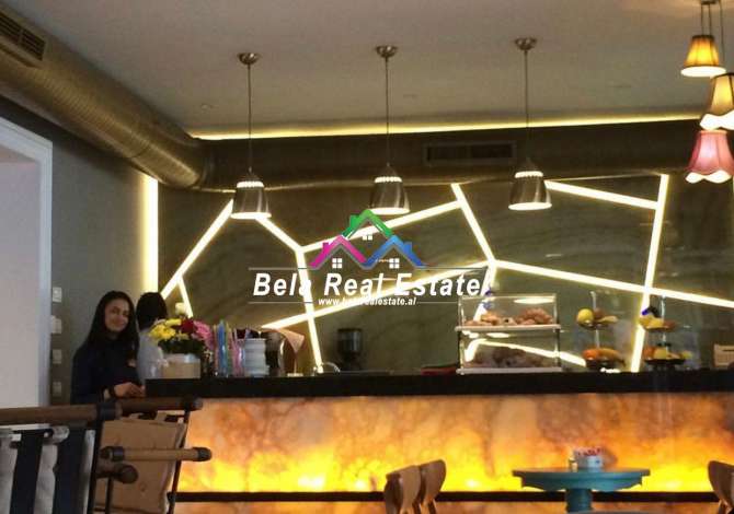 Business Property for Rent 1+1 in Tirana - 3,000 Euro