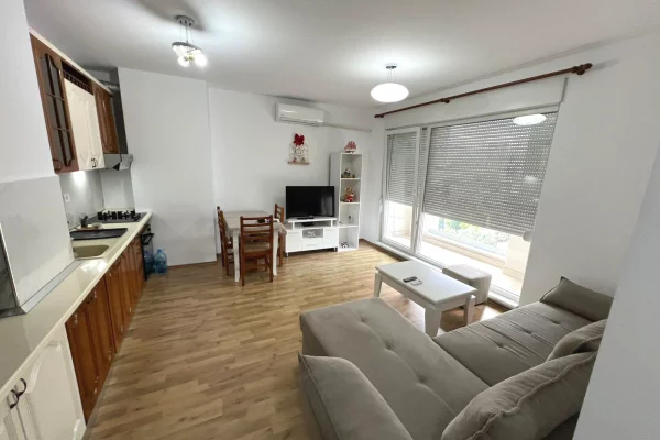 Shtepi me qera Apartament ne Tirane, 1+1, Mobilimi E mobiluar, Pagesa 500  Euro.