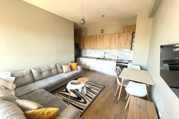 House for Rent 1+1 in Tirana - 65,000 Leke