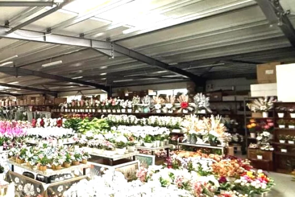 Ambient biznesi me qera 4+1 ne Tirane - 6,000 Euro