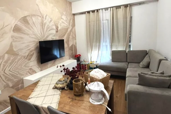 Apartament Per Shitje 1+1 Tek Ali Demi (ID B110535) Tirane