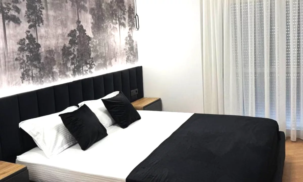 Appartamento in affitto a Tirana 1+1, Arredato