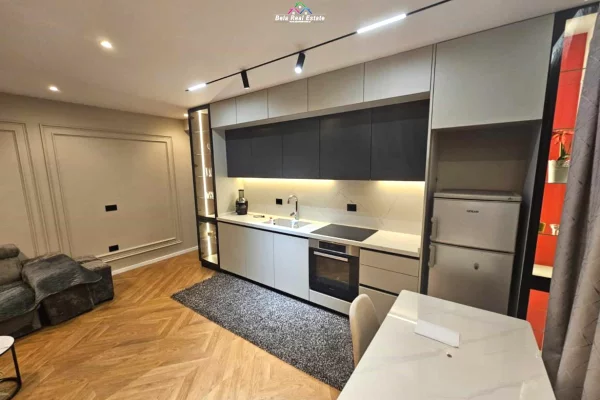 Appartamento in affitto a Tirana 1+1, Arredato