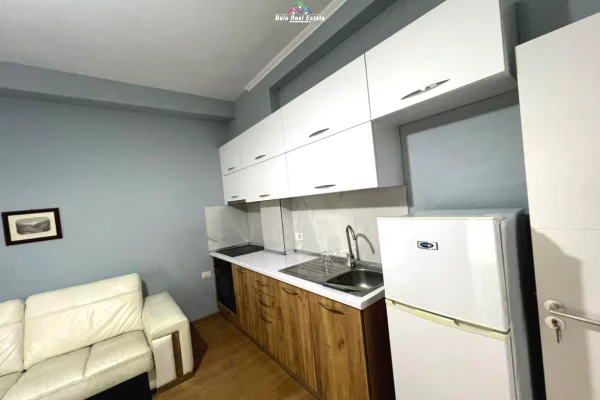 Private house for rent in Tirana 1+1, Furnished