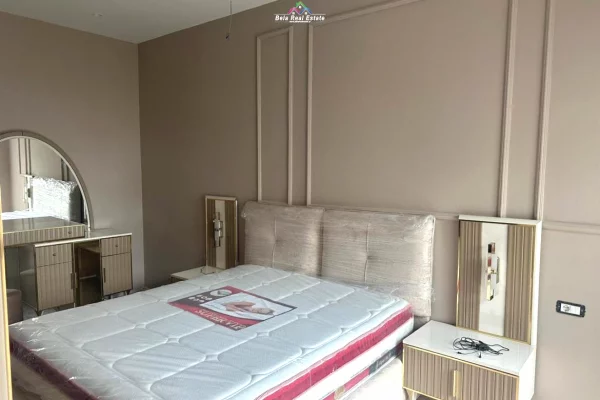 Apartament Me Qera 1+1 Tek Dritan Hoxha ( ID B2101503) Tirane