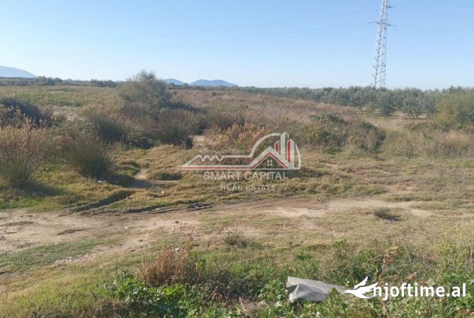 Truall ose Toke ne Vlore - 67,000 Euro