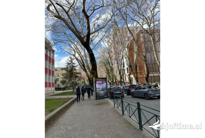 Ambiente Commerciale in Vendita 1+1 a Tirana - 910,000 Euro