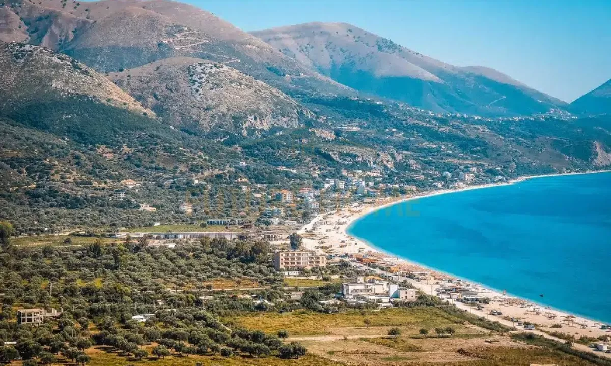 Shitet, Toke, Borsh.