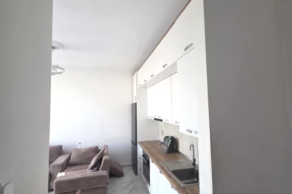Shtepi me qera Apartament ne Tirane, 1+1, Mobilimi E mobiluar, Pagesa 430  Euro.