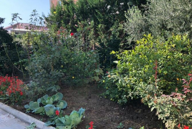 Shtepi ne shitje Vila Luksoze ne Tirane, 4+1, Mobilimi E mobiluar, Pagesa 300,000  Euro.