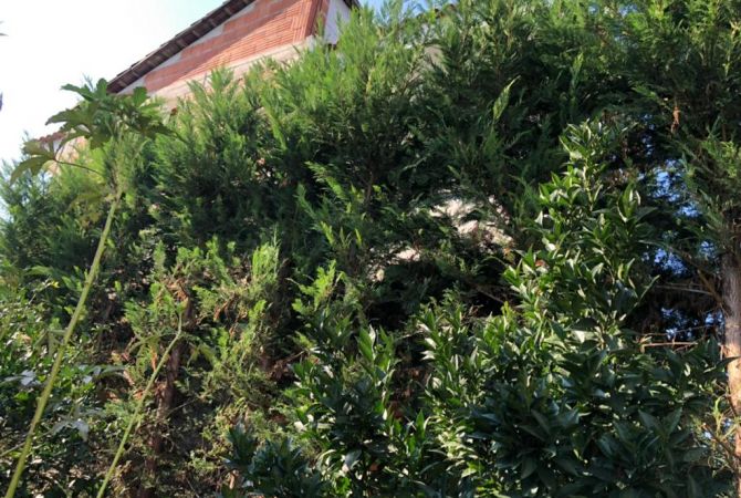 Shtepi ne shitje Vila Luksoze ne Tirane, 4+1, Mobilimi E mobiluar, Pagesa 300,000  Euro.