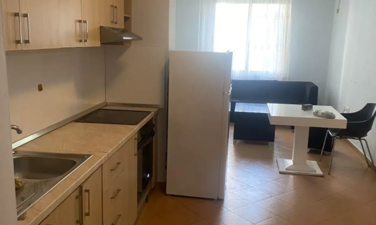 Shtepi me qera Apartament ne Tirane, 1+1, Mobilimi E mobiluar, Pagesa 300  Euro.
