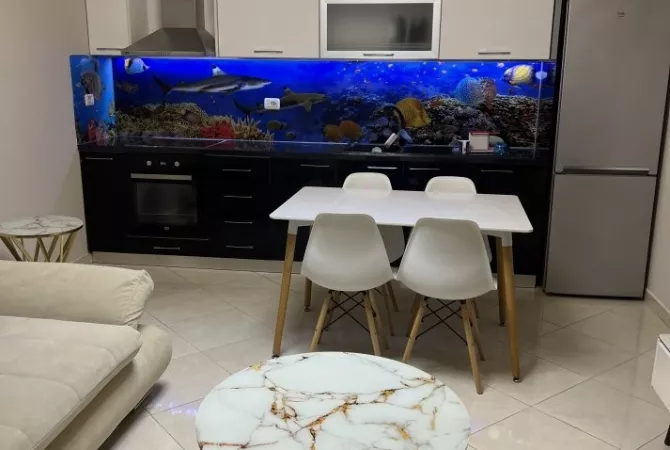 Shtepi me qera Apartament ne Tirane, 1+1, Mobilimi E mobiluar, Pagesa 500  Euro.