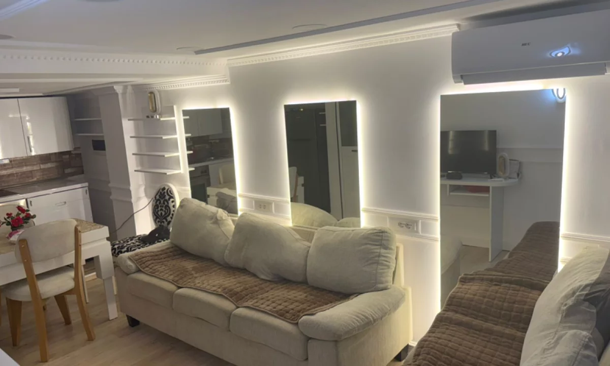 Shtepi me qera Apartament ne Tirane, 1+1, Mobilimi E mobiluar, Pagesa 530  Euro.