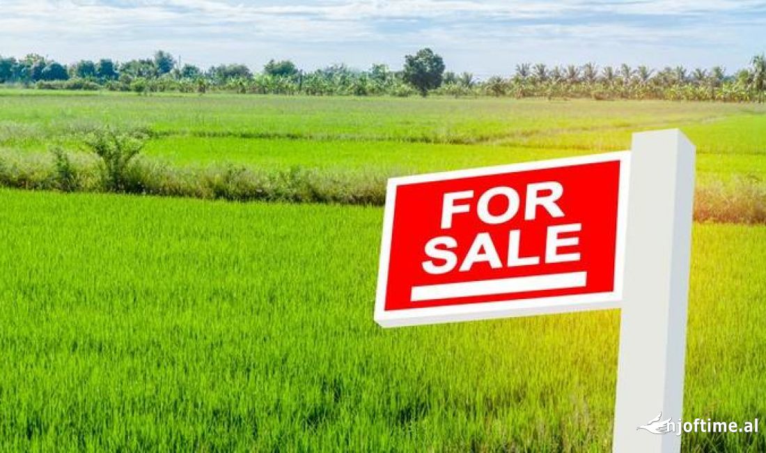 Shitet toke ne Vishnje