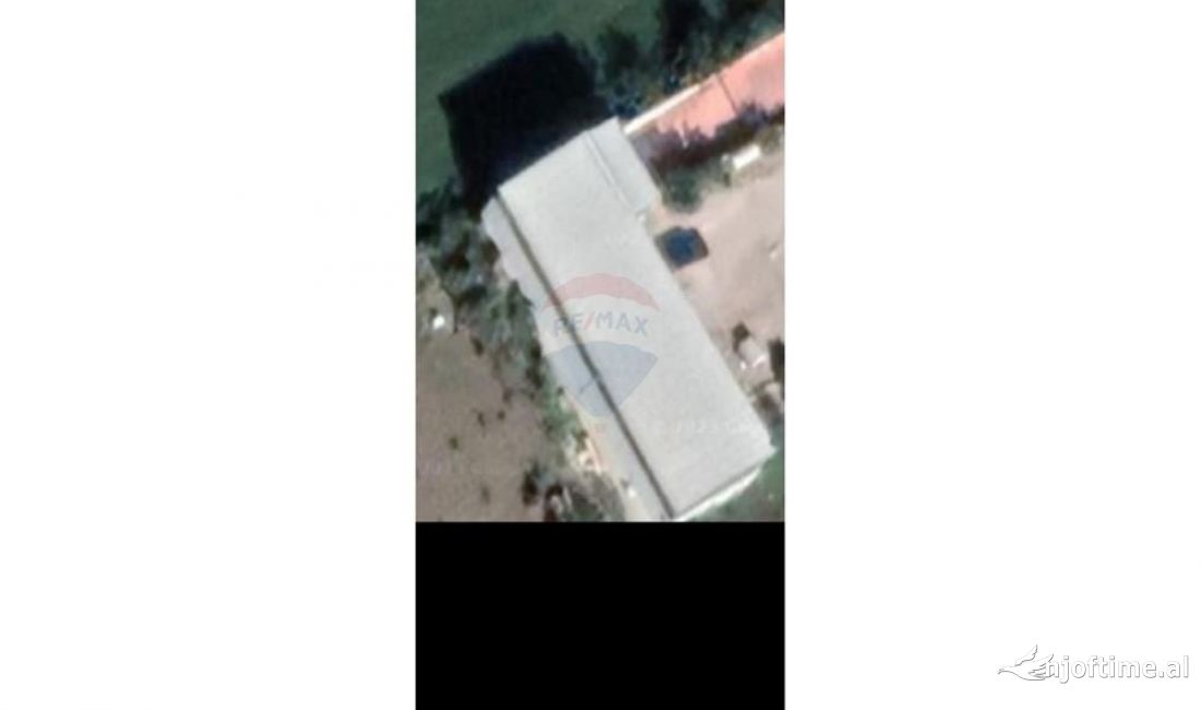 Jepet me qira magazine, Prush 