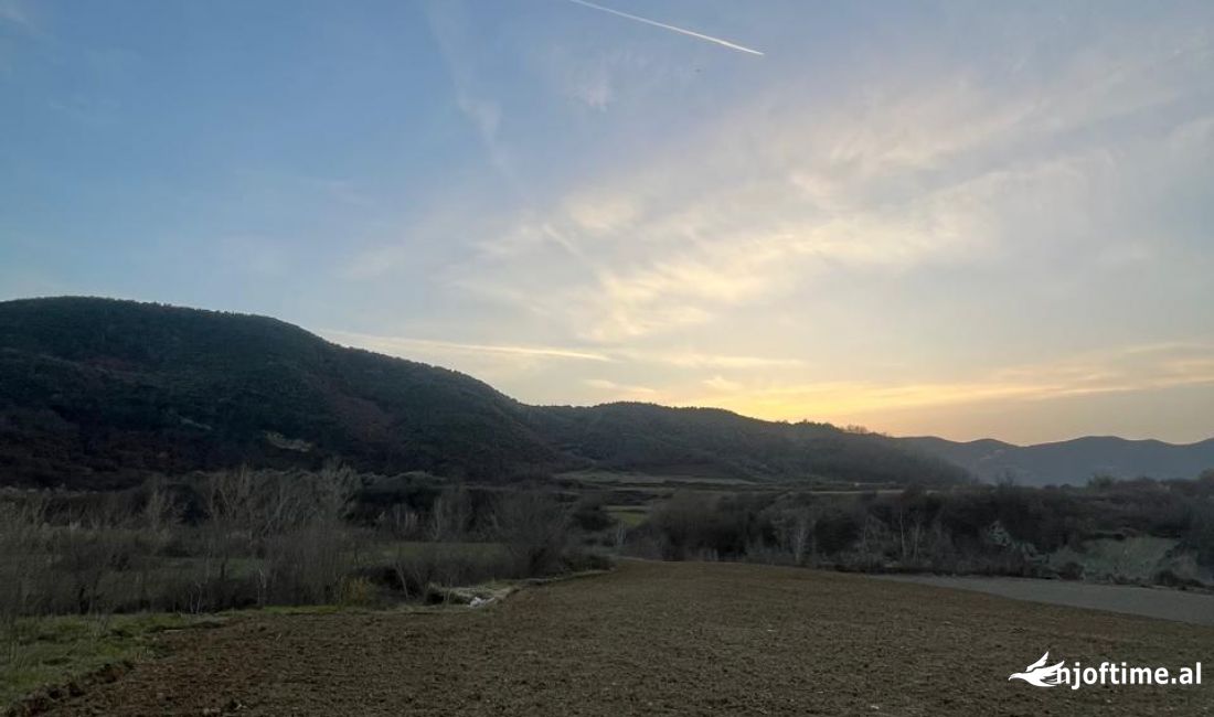 SHiten 8150 m2 toke ne Vishnje