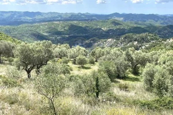 Truall ose Toke ne Tirane - 300,000 Euro