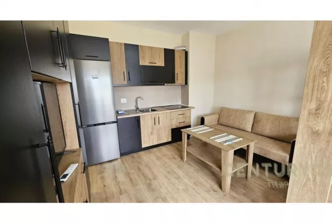 Shtepi me qera Apartament ne Tirane, 1+1, Mobilimi E mobiluar, Pagesa 400  Euro.