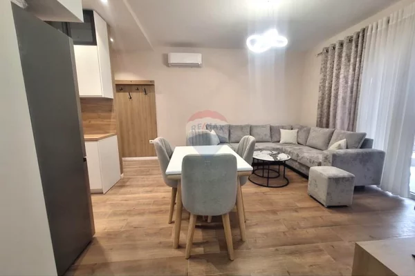Shtepi me qera Apartament ne Tirane, 1+1, Mobilimi E mobiluar, Pagesa 75,000  Leke.