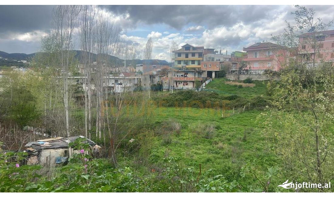 Shitet, Toke Are, Sauk