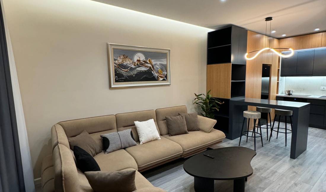 Shtepi me qera Apartament ne Tirane, 1+1, Mobilimi E mobiluar, Pagesa 900  Euro.
