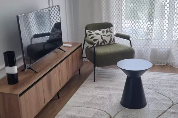 Shtepi me qera Apartament ne Tirane, 1+1, Mobilimi E mobiluar, Pagesa 450  Euro.