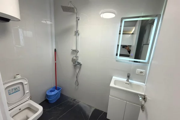 Shtepi me qera Apartament ne Tirane, Garsoniere, Mobilimi E mobiluar, Pagesa 450  Euro.