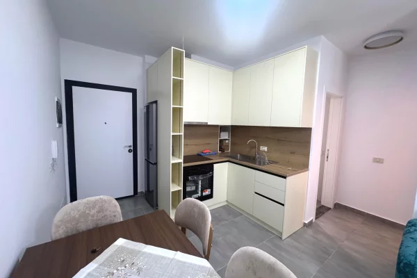Shtepi me qera Apartament ne Tirane, 1+1, Mobilimi E mobiluar, Pagesa 650  Euro.