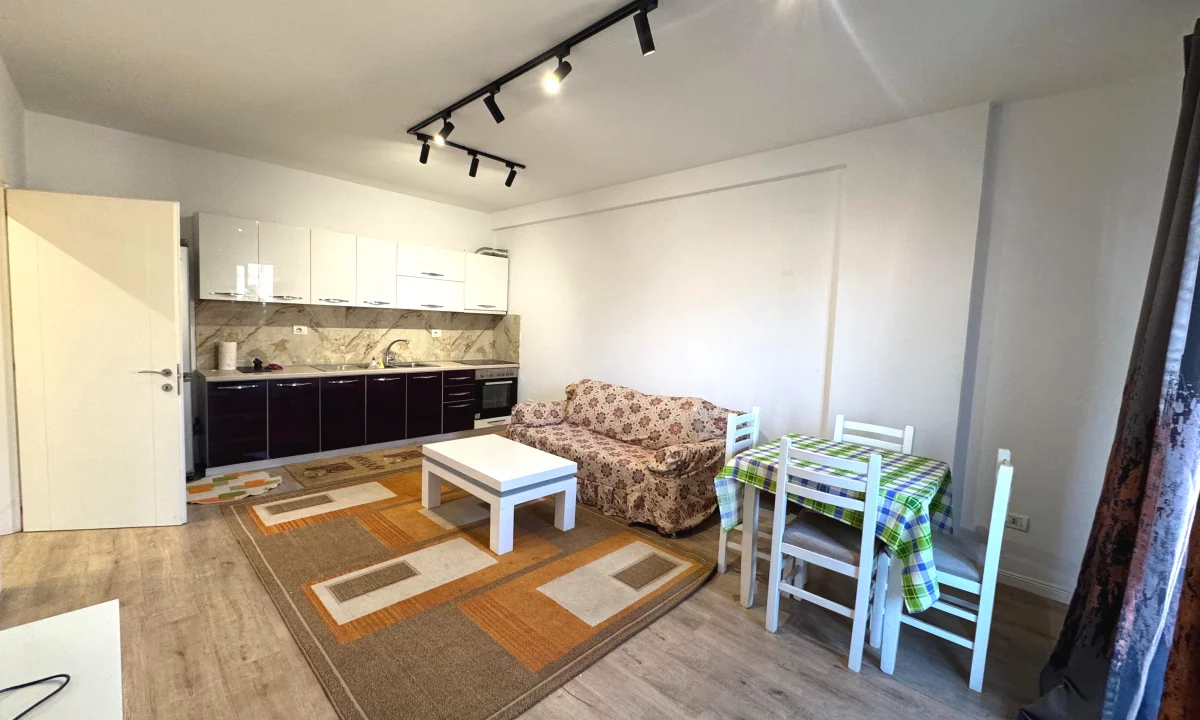 Shtepi me qera Apartament ne Tirane, 1+1, Mobilimi E mobiluar, Pagesa 450  Euro.