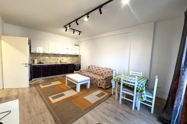 House for Rent 1+1 in Tirana - 450 Euro