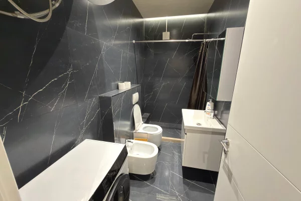 Shtepi me qera Apartament ne Tirane, 1+1, Mobilimi E mobiluar, Pagesa 550  Euro.