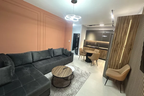 House for Rent 1+1 in Tirana - 55,000 Leke