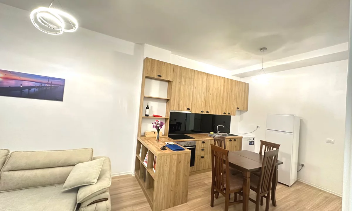 Shtepi me qera Apartament ne Tirane, 1+1, Mobilimi E mobiluar, Pagesa 450  Euro.