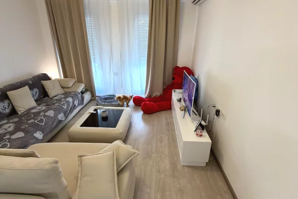 Apartment for rent in Tirana 1+1, Furnished
