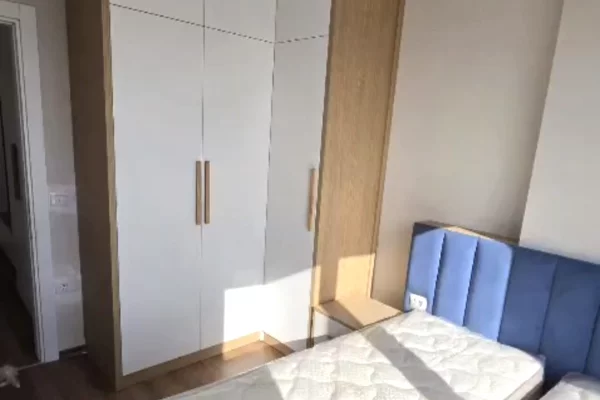 Shtepi me qera Apartament ne Tirane, 1+1, Mobilimi E mobiluar, Pagesa 55,000  Leke.