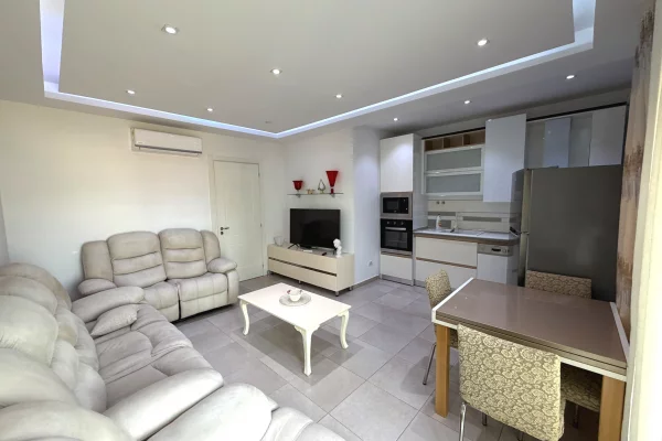 Shtepi me qera Apartament ne Tirane, 1+1, Mobilimi E mobiluar, Pagesa 450  Euro.