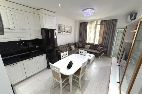 Shtepi me qera Apartament ne Tirane, 1+1, Mobilimi E mobiluar, Pagesa 500  Euro.